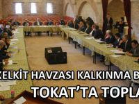 KELKİT HAVZASI KALKINMA BİRLİĞİ TOKAT’TA TOPLANDI