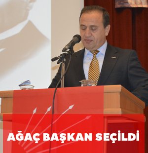 bedri-agac.jpg